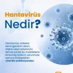 hantavirus-nedir