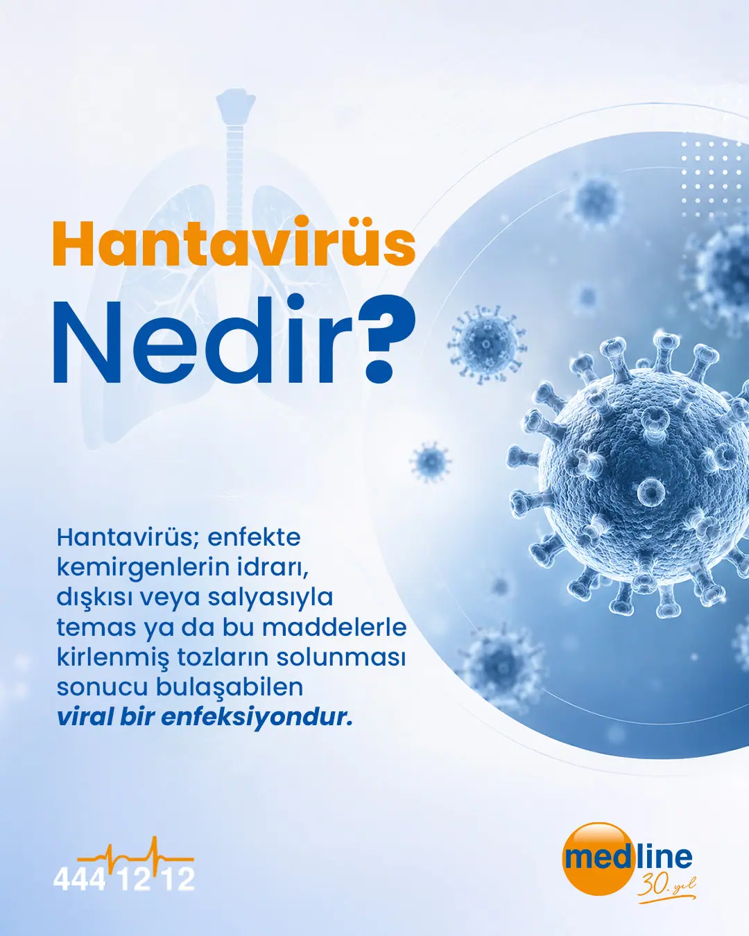 hantavirus-nedir