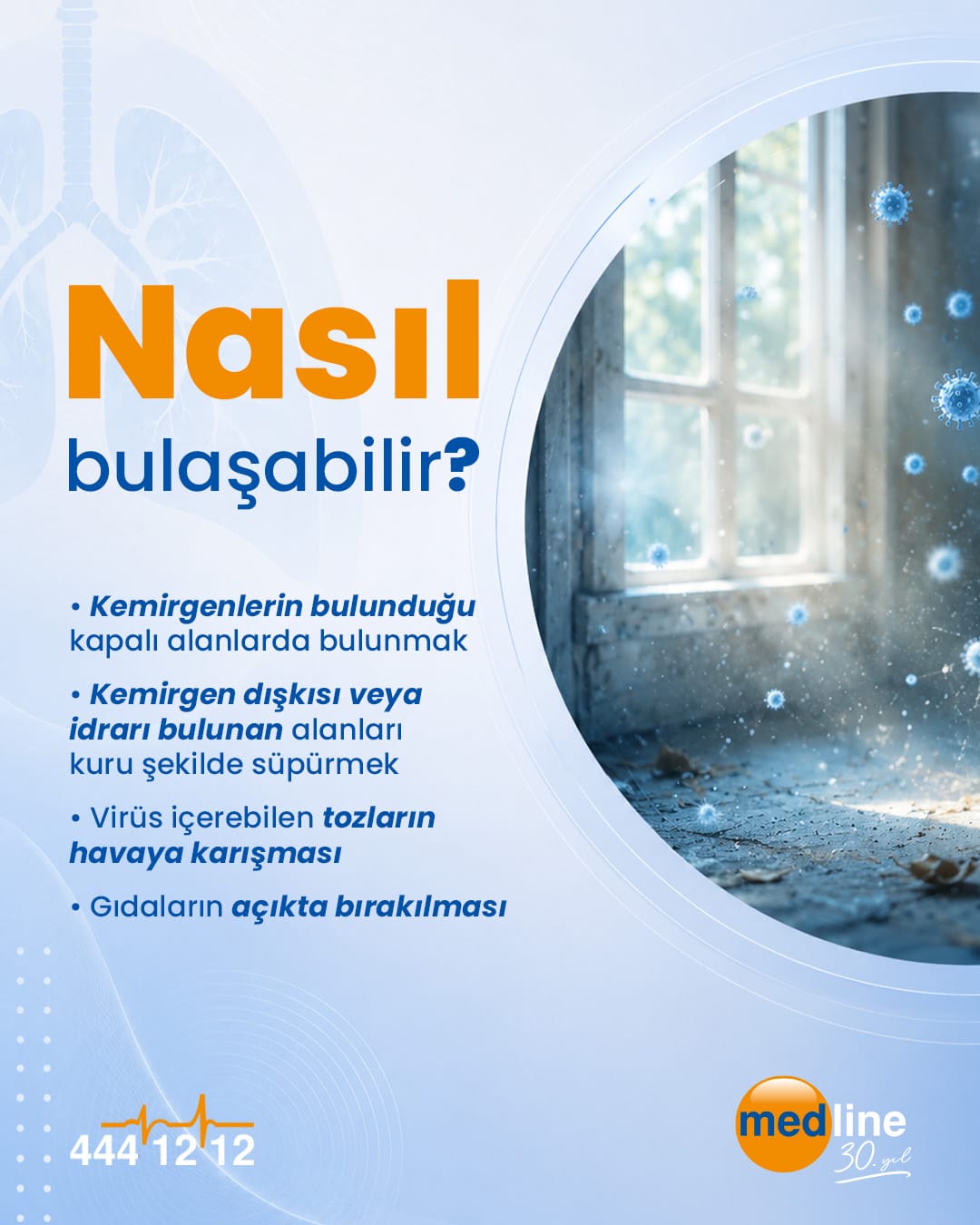 Hantavirüs Tanımı